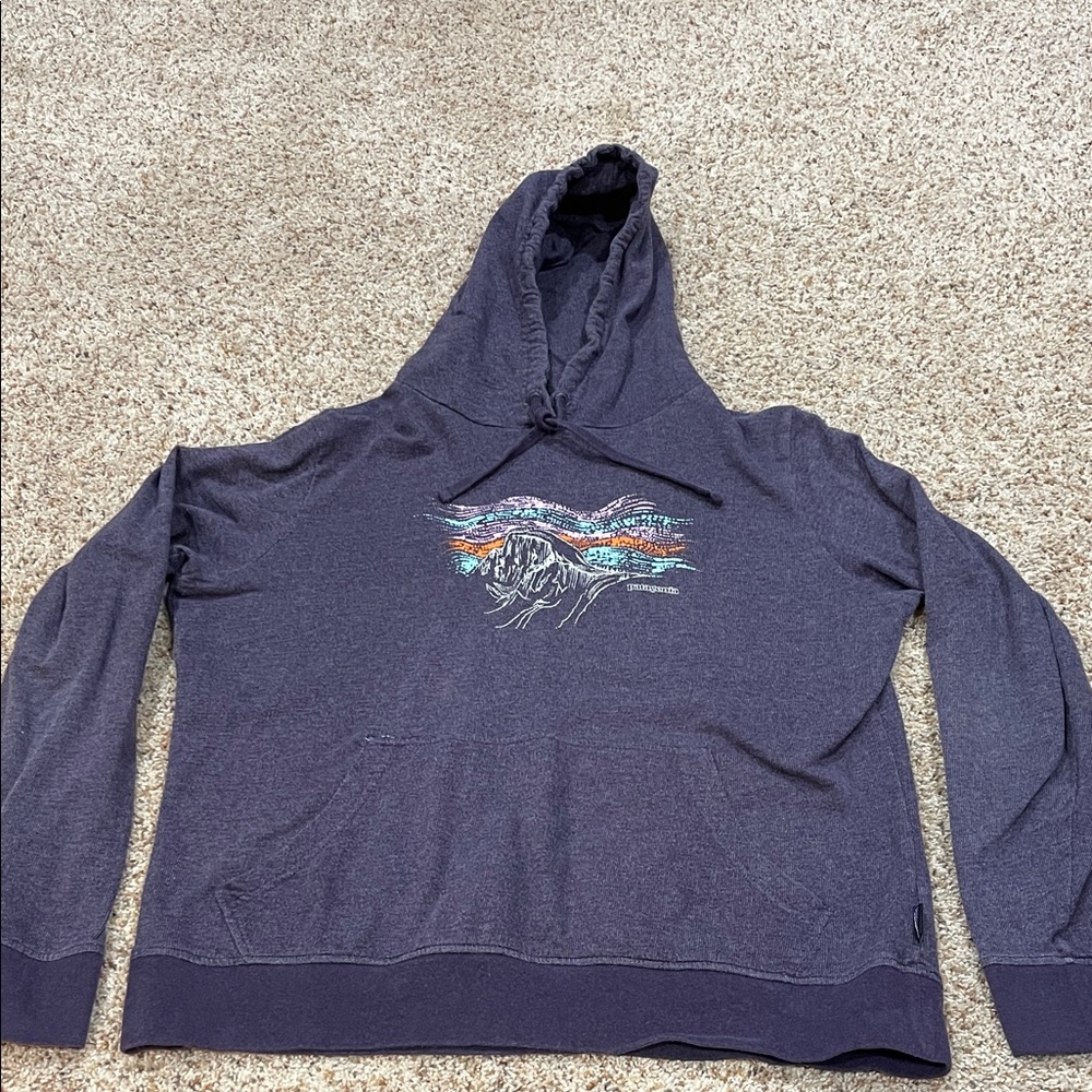Patagonia Navy Hoodie with Multicolor Mountain Graphic - Picture 1 of 3
